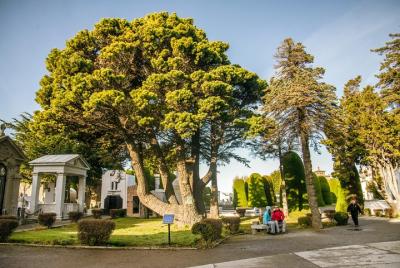 Punta Arenas and Nao Victoria City Tour