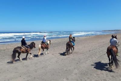 Private Shore Excursion from San Antonio: Beach Horseback Ride and Viña del Mar Private Shore Excursion from San Antonio: Beach Horseback Ride and Viña del Mar