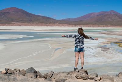 Puna Salt Flats - Full Day Tour - San Pedro de Atacama - Must Vis