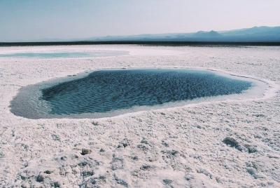 Baltinache Lagoons  Baltinache Lagoons