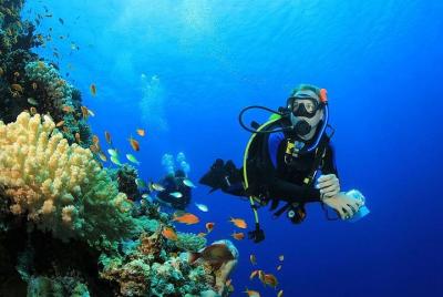 Excursions Professional Diving Full Day Sea Excursion - Hurghada