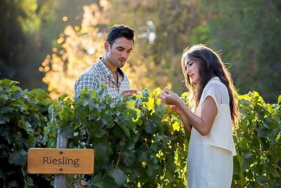 Best of Santiago de Chile & Mendoza in 7 Days