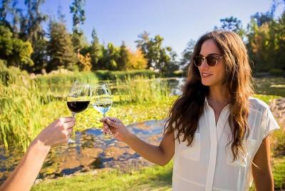 4-Day Best of Santiago de Chile including Viña, Valparaiso & 2 wineries