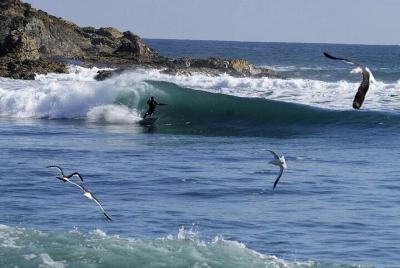 15-Day Surf Camp Tour through Central Chile