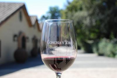 Half-Day Private Tour: Concha y Toro Vineyard from Santiago Winet