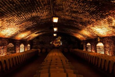Concha y Toro Vineyard Tour Concha y Toro Vineyard Tour