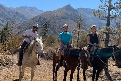 Maipo Canyon: Andes Mountains Horseback Ride and Wine Tour & Tasting