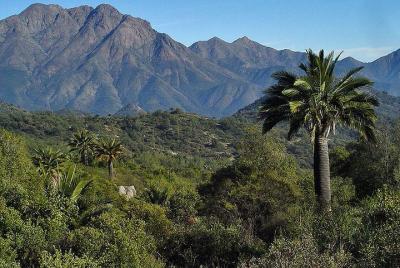 Darwin´s Roblecitos Hike