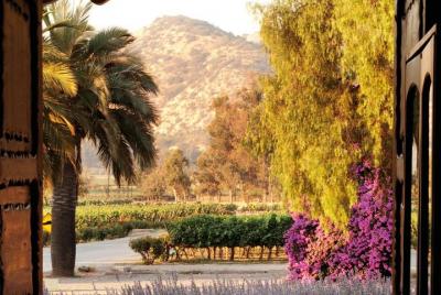 Skip the Line: Santa Rita Winery Classic Tour Ticket Skip the Line: Santa Rita Winery Classic Tour Ticket