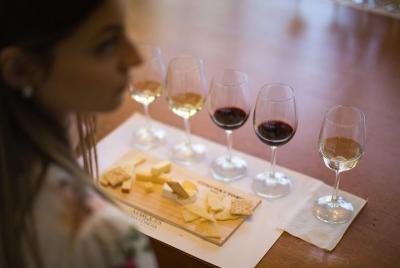 Skip the Line: Marques de Casa Concha Tour Ticket