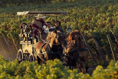 Colchagua Wine Route Tour from Santiago