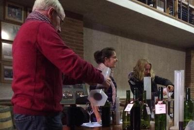 Half-Day Private Be a Winemaker for a Day Experience from Santiago