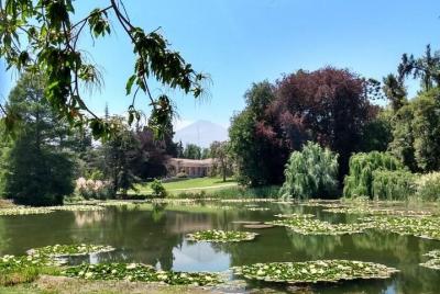 Concha y toro vineyard tour