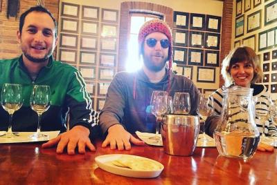 Private Half-Day Tour to De Martino Winery from Santiago