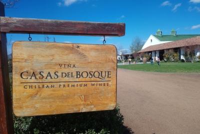 Casablanca Valley 2 winery. Casas del Bosque and Indomita winery