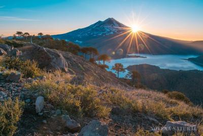 Trekking Conguillio National Park and sunrise in Batea Mahuida / 2days Trekking Conguillio National Park and sunrise in Batea Mahuida / 2days