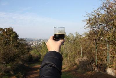 The Beer Trekking The Beer Trekking