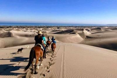 Private Shore Excursion From Valparaiso: Beach Horseback Ride & Viña del Mar Private Shore Excursion From Valparaiso: Beach Horseback Ride & Viña del Mar