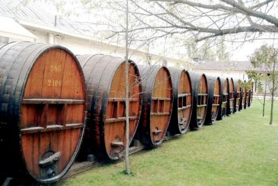 Maipo Valley  Maipo Valley 'Concha y Toro' Wine Tour Private Transfer from Valparaiso