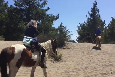 HorseRiding + BARBECUE Ritoque Sand Dunes And Beach (PRIVATE EXCURSION) HorseRiding + BARBECUE Ritoque Sand Dunes And Beach (PRIVATE EXCURSION)
