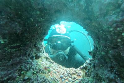 Diving excursion in Quintay