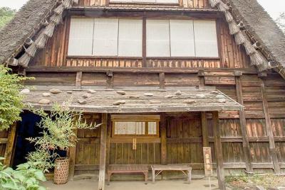 Private Tour - Nostalgic Japan in Kawasaki with Indigo Dyeing Exp