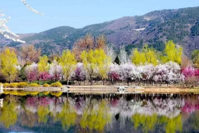 Private Round Transfer to Fragrant Hill and Botanical Garden  Private Round Transfer to Fragrant Hill and Botanical Garden