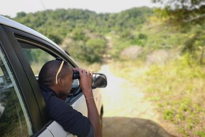Chintsa to Addo Photo Safari Chintsa to Addo Photo Safari