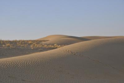 02 Days 01 Night Camel Safari 02 Days 01 Night Camel Safari