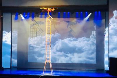 Beijing Chaoyang Theatre Show with Hotel Transfer Beijing Chaoyang Theatre Show with Hotel Transfer