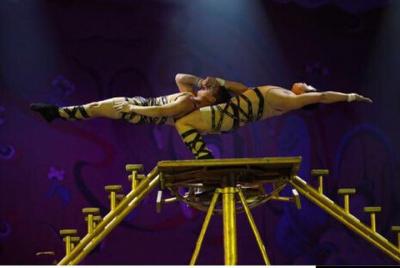 Beijing Chaoyang Theater Acrobatic Show with Private Transfer Ser