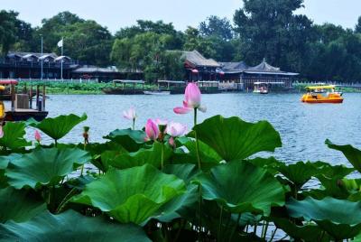 3-Hour Private Hutong Walking Tour with Drum Show at Drum Tower a 3-Hour Private Hutong Walking Tour with Drum Show at Drum Tower a