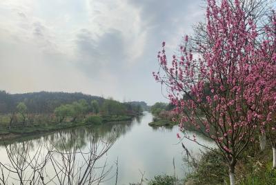 Private Day Tour to Taohuayuan National Park from Changsha Private Day Tour to Taohuayuan National Park from Changsha