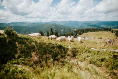 Sheep Happens - Huts, Sheepfolds and Burduf*