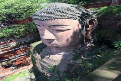 One Day Trip to Chengdu Panda Base and Leshan Buddha Tour One Day Trip to Chengdu Panda Base and Leshan Buddha Tour