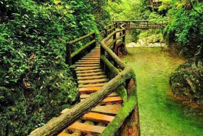 Private 1 day trip: Dujiangyan Irrigation and Mount Qingcheng