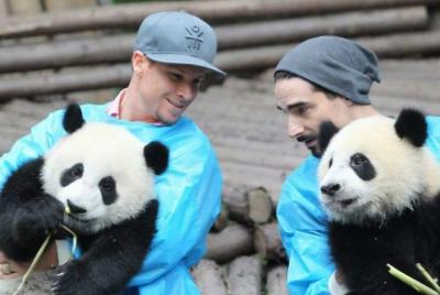 Private Half Day Tour of Chengdu Panda Breeding Center with Panda Private Half Day Tour of Chengdu Panda Breeding Center with Panda