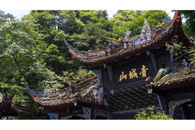 Chengdu Giant Panda & Mountain Qingcheng Private Day Tour (No sho