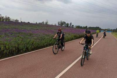 Half-Day Private Chengdu Countryside Bike Tour