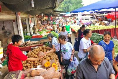 Escape to Suburban Farm Market Escape to Suburban Farm Market