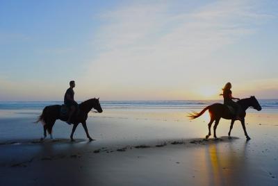 Couple Windsurf, Surf, Horse Riding Action week Couple Windsurf, Surf, Horse Riding Action week