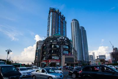 Private Departure Transfer:Hotel to Dalian Zhoushuizi Internation