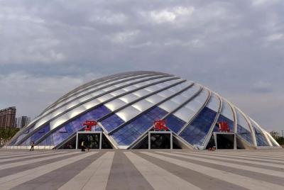 Binhai Railway Station Private Transfer Service to Tianjin Cruise