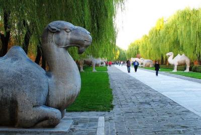 Datong Bullet Train Trip to Beijing: Ming Tombs, Sacred Way and S