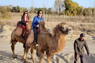 Dunhuang Private Camel Riding in the Gobi Desert