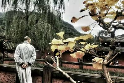 1 night temple stay experience at Mt Emei 1 night temple stay experience at Mt Emei