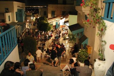 Full-Day Tour to Carthage, Sidi Bou Said, and Bardo Museum from S Full-Day Tour to Carthage, Sidi Bou Said, and Bardo Museum from S
