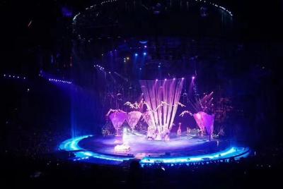 Chimelong Circus Show with Private Transfer in Guangzhou Chimelong Circus Show with Private Transfer in Guangzhou