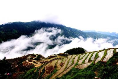 Group Day Tour to Explore Longji Rice Terraces Group Day Tour to Explore Longji Rice Terraces