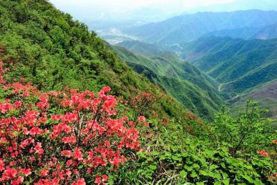 Private Tour: Yao Mountain and Tea Plantation from Guilin Private Tour: Yao Mountain and Tea Plantation from Guilin